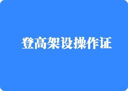 大鸡巴网址登高架设操作证